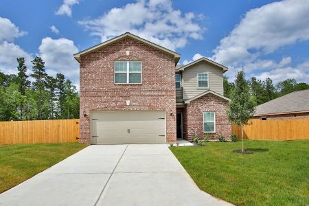 Freeman Ranch by LGI Homes in Katy - photo 8 8