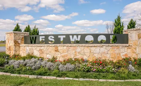 Westwood by D.R. Horton in League City - image