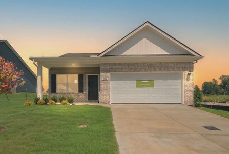 Jackson Hills by Smith Douglas Homes in Clarksville - image