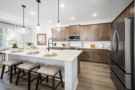 Eagletail Landings by Landsea Homes in Howey-in-the-Hills - image