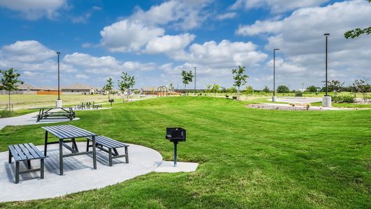 Heather Glen by D.R. Horton in New Braunfels - photo 12 12