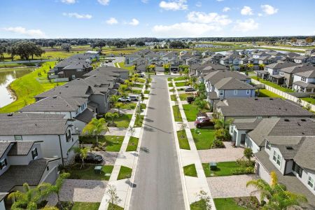 Cobblestone by M/I Homes in Zephyrhills - photo 8 8