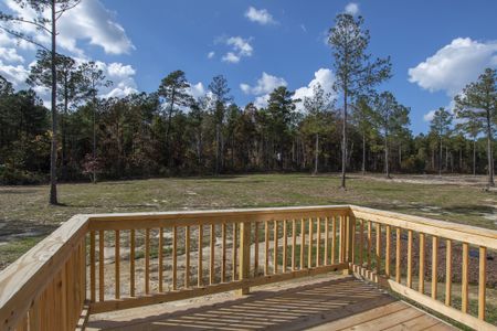 Carson's Landing by Great Southern Homes in Angier - photo 23 23