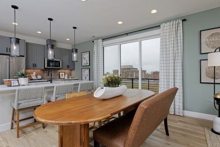 Loretto Heights 3-Story by Thrive Home Builders in Denver - photo 10 10