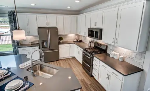 Bryton Crossing Townhomes by Eastwood Homes in Huntersville - image 9
