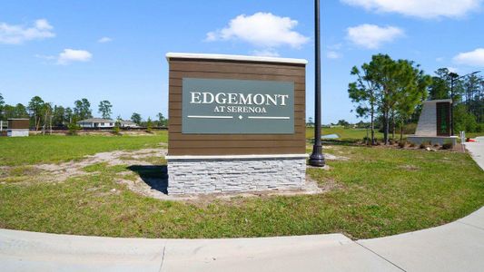 Edgemont at Serenoa by D.R. Horton in Clermont - photo 1 1