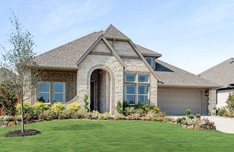 Arcadia Trails by Bloomfield Homes in Balch Springs - image 3