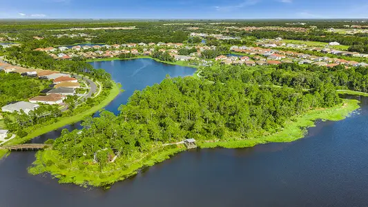 Grand Palm by Neal Communities in Venice - image