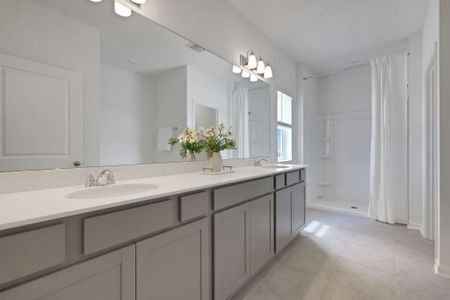 Diamond Springs by Dream Finders Homes in Jacksonville - image 14