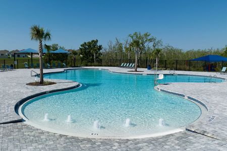 Hammock Reserve by Casa Fresca Homes in Haines City - photo 7 7