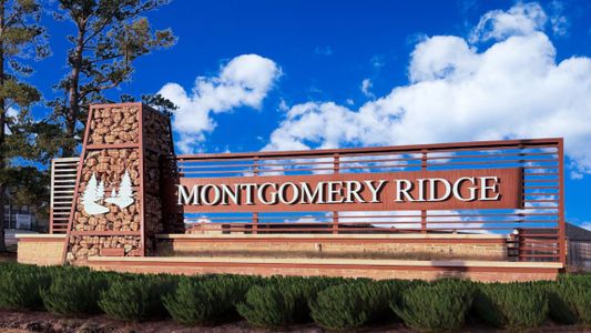 Montgomery Ridge by D.R. Horton in Montgomery - image