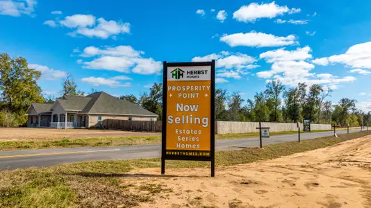 Prosperity Point by Herbst Homes in Milton - image 19