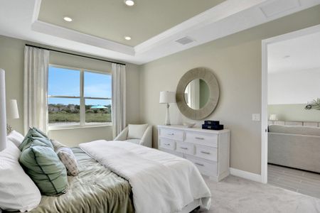 Seaire by Dream Finders Homes in Parrish - photo 69 69