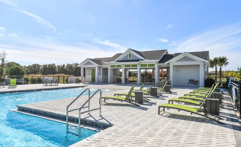 Persimmon Park by ICI Homes in Wesley Chapel - photo 4 4