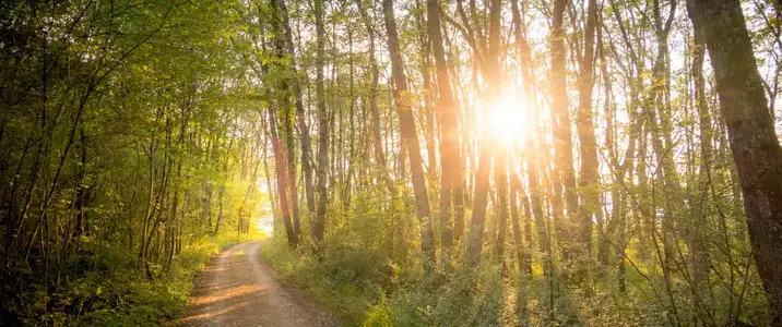 Montgomery Ridge: Founders 15