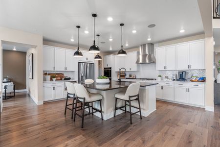 Trailstone Destination Collection by Taylor Morrison in Arvada - photo 119 119