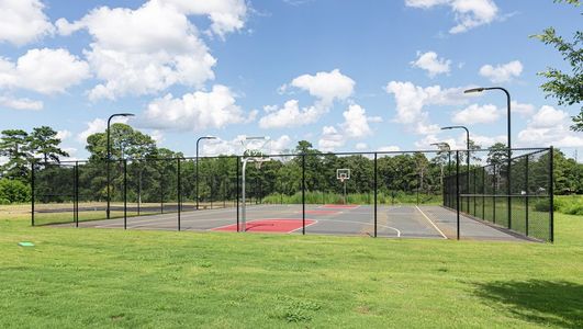 Avondale North by LGI Homes in Conyers - image 6