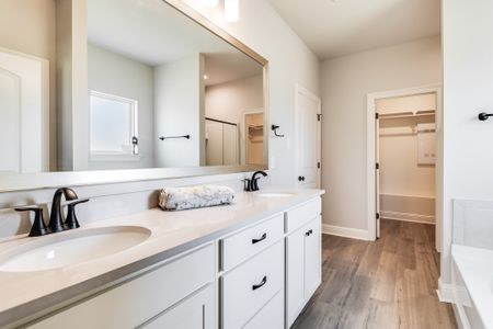 Eagle Pointe by DSLD Homes in Pensacola - image 9