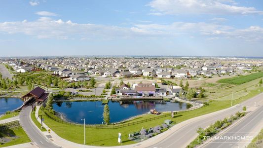 The Fairways at RainDance by Trumark Homes in Windsor - image 17