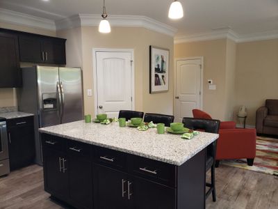 The Villages at Brookmont by Hadi Builders in Douglasville - photo 18 18