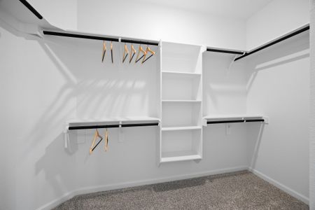 Palmilla Springs 50s Sales Phase 2 28