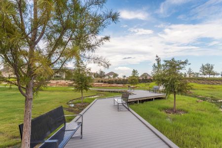 Lilyana by M/I Homes in Prosper - photo 19 19