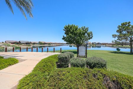 The Lakes at Rancho El Dorado by Century Communities in Maricopa - photo 5 5