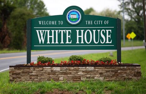 Marlin Pointe by Smith Douglas Homes in White House - image