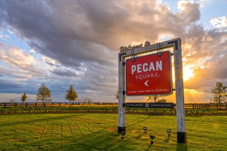 Pecan Square 70' by Coventry Homes in Northlake - photo 5 5