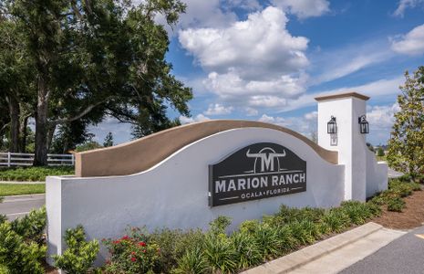 Marion Ranch by Pulte Homes in Ocala - image