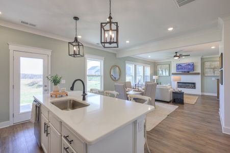 Dorris Farm at Willow Springs by Goodall Homes in White House - image 11