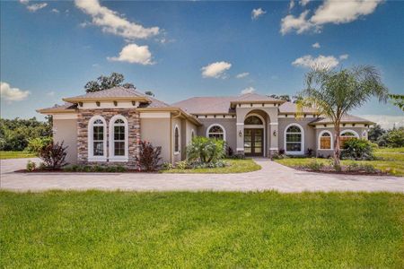 New construction Single-Family house 17899 Sw 72Nd Street Rd, Dunnellon, FL 34432 - image