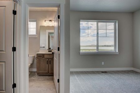 New construction Townhouse house 3425 Triano Creek Dr, Unit 101, Loveland, CO 80538 null- photo 177 177