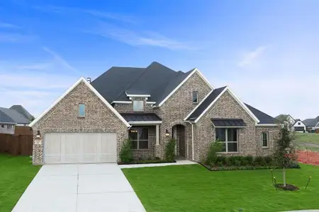 New construction Single-Family house 237 Basketflower Dr, Waxahachie, TX 75165 plan Natalia - image