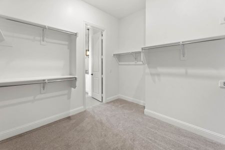 New construction Single-Family house 365 ELK Dr, Fate, TX 75189 plan Kirby - image 20