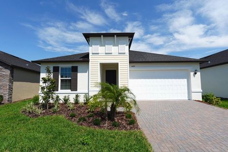 New construction Single-Family house 10085 Eaglecreek Lp, Land O' Lakes, FL 34638 plan Brindley - image