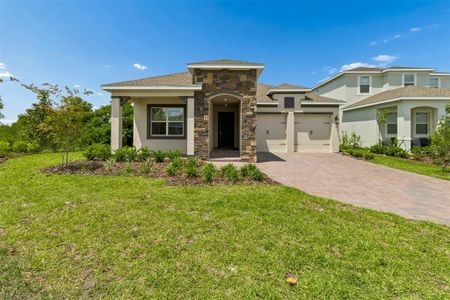 New construction Single-Family house 12390 Clear Sapphire Dr, Horizon West, FL 34787 plan Tobago II - image