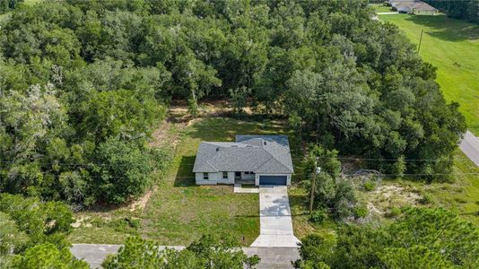 New construction Single-Family house 1197 W G Martinelli Blvd, Citrus Springs, FL 34434 - image