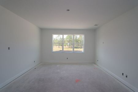 New construction Single-Family house 1971 Drummond Pt, Zephyrhills, FL 33541 Grandsail  III- photo 42 42