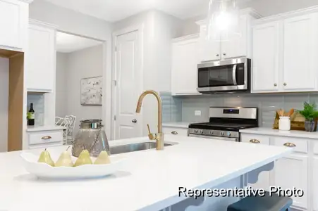 New construction Single-Family house 1010 Field Sparrow Dr, Unit Cc3-24-4, Ravenel, SC 29470 - image