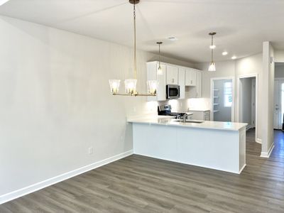 New construction Single-Family house 237 Taylor Woods Ct, Greenville, SC 29607 plan The Princeton A - image 10