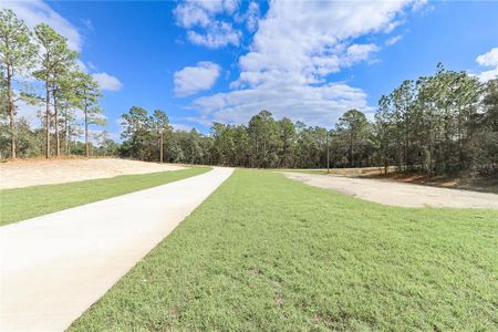 New construction Single-Family house 12707 Sw 78Th Pl, Dunnellon, FL 34432 null- photo 4 4