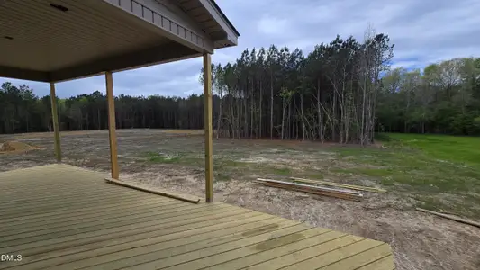 New construction Single-Family house 330 Freedom Ridge Dr, Smithfield, NC 27577 - image