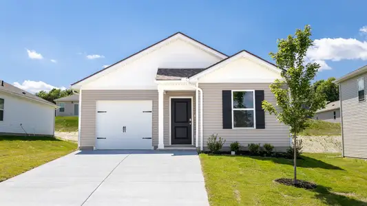New construction Single-Family house 924 Badlands Wy, Portland, TN 37148 plan Devon - image