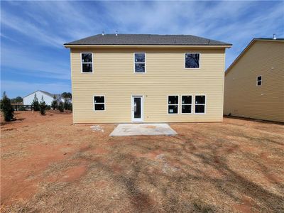 New construction Single-Family house 470 Silverleaf Trl, Bethlehem, GA 30620 null- photo 43 43