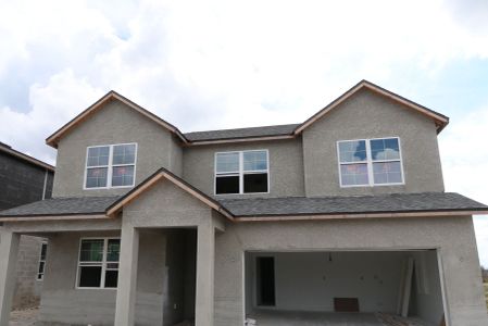 New construction Single-Family house 31236 Denham Ridge Ln, Wesley Chapel, FL 33545 Santa Monica- photo 55 55