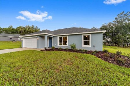 New construction Single-Family house 6319 Nw 67 Ln, Ocala, FL 34482 Lily- photo 0