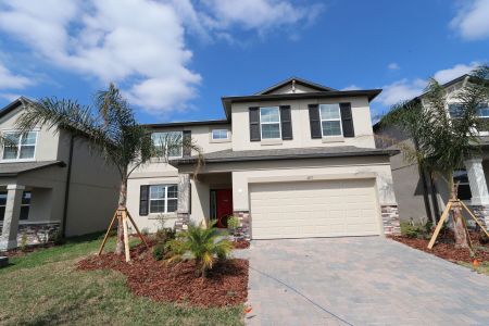 New construction Single-Family house 4877 Foxglove Cir, Lakeland, FL 33811 Alenza- photo 141 141