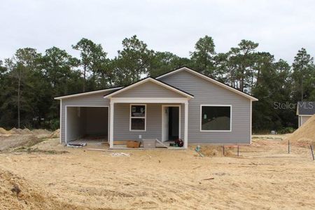 New construction Single-Family house 15934 Sw 41St Street, Ocala, FL 34481 - photo 0