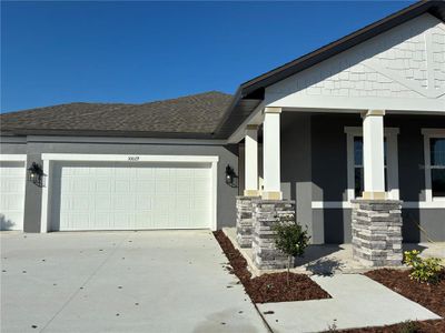 New construction Single-Family house 10029 Hidden Hammock Lp, Parrish, FL 34219 plan Plant - image
